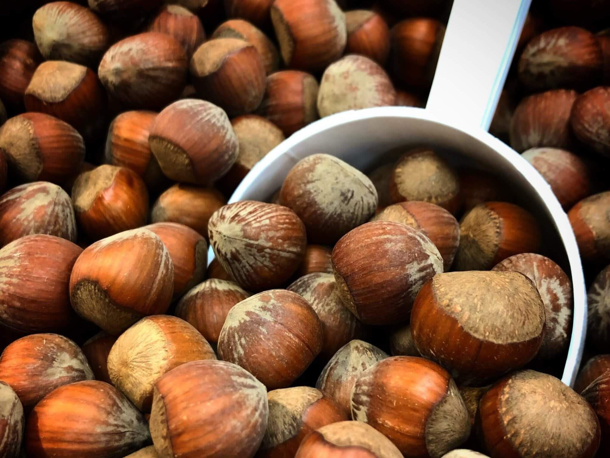 hazelnuts