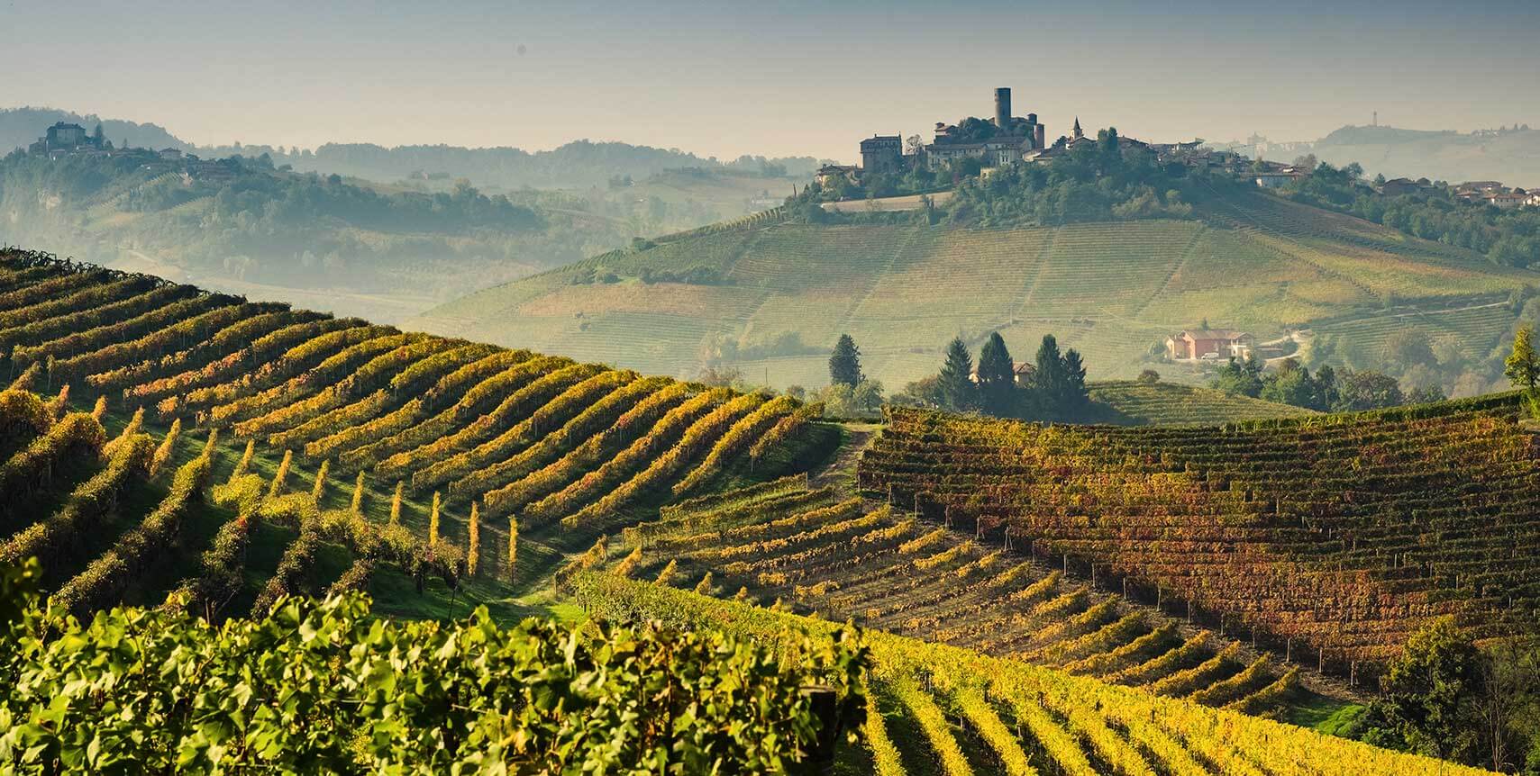 Langhe fall vineyards