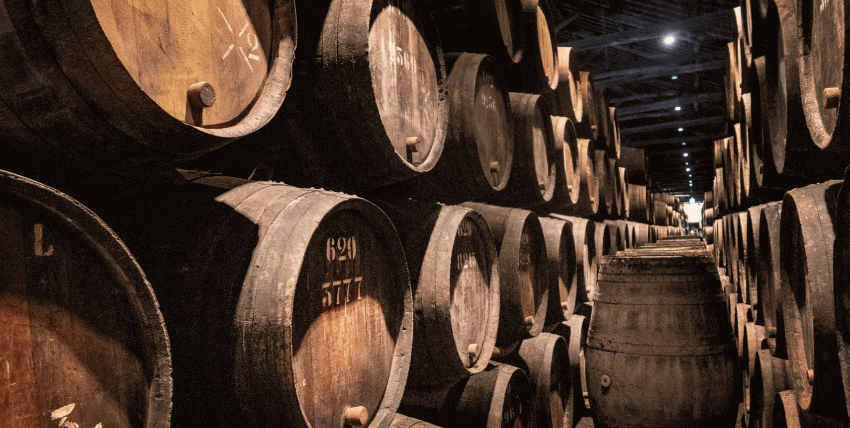 Visit premium wineries and enjoy VIP tastings