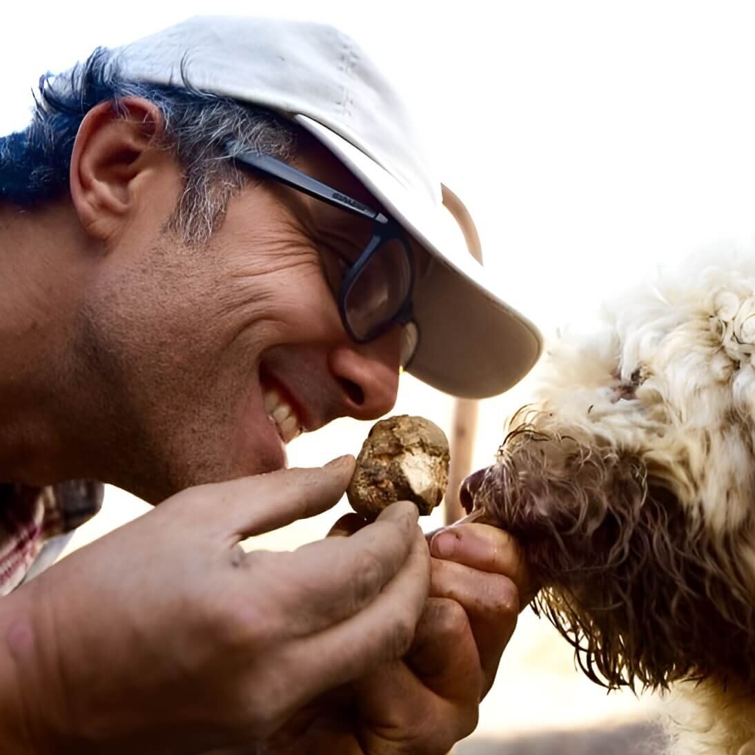The White Truffle of Alba